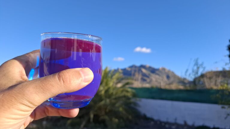 Témoignage de Barnabé Moulin, ostéopathe en équipe cycliste professionnelle